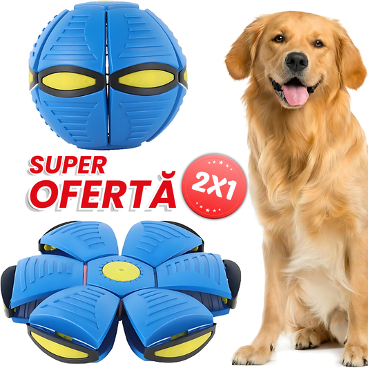 Piłka frisbee latająca 2x1